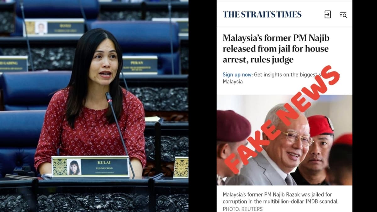 Teo Nie Ching fake news.jpg