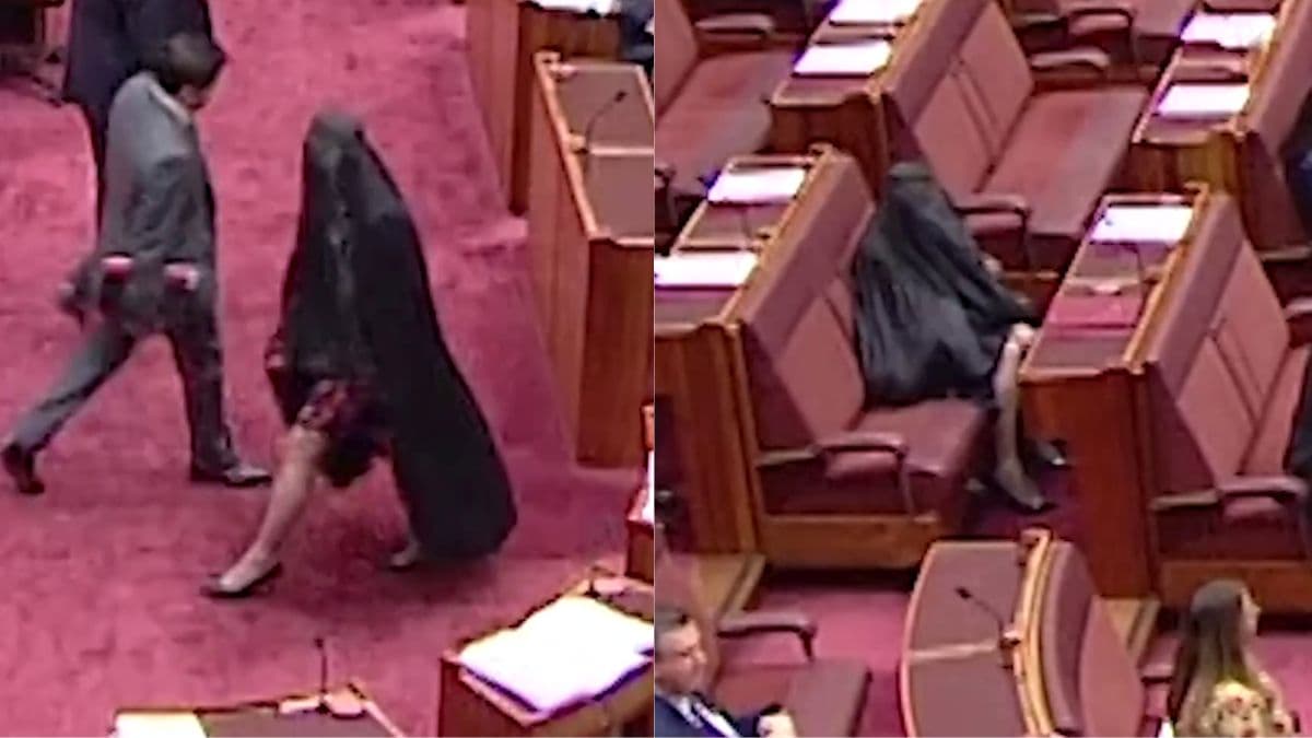aus chamber burqa stunt.jpg