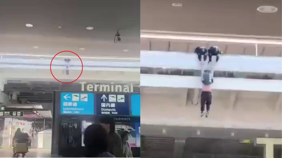 chinese fall kansai airport.jpg