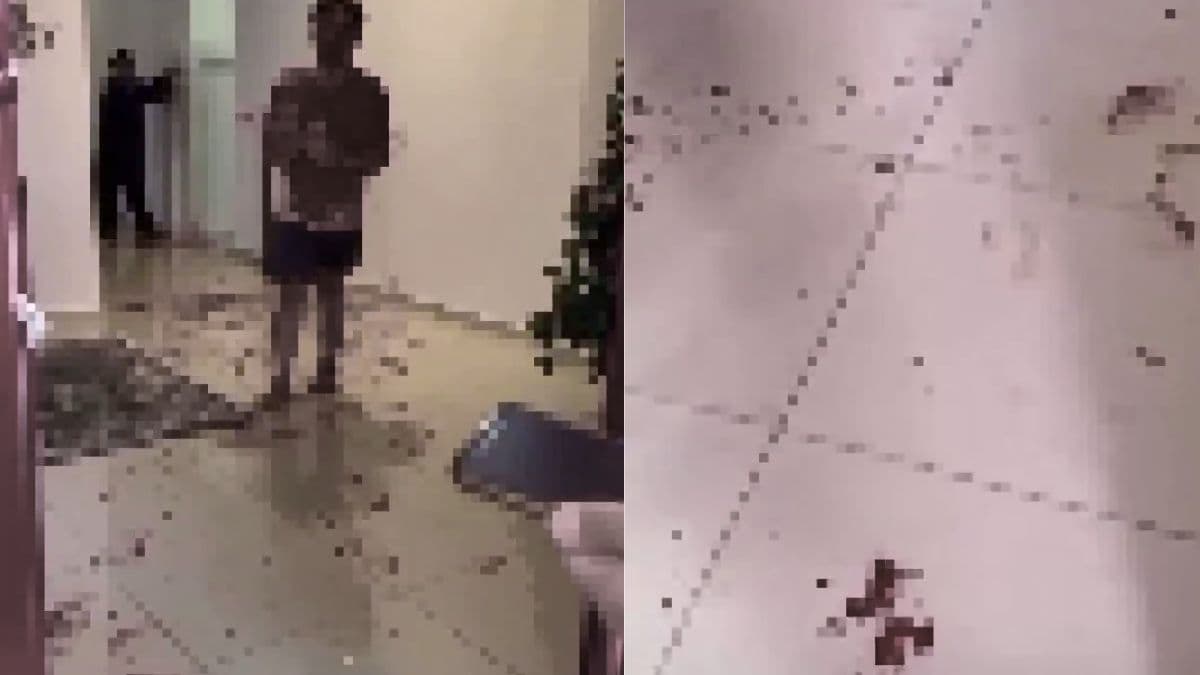 kuantan severed finger.jpg