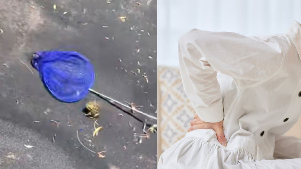 82-year-old Chinese woman hospitalised after swallowing eight live frogs to treat back pain.jpg