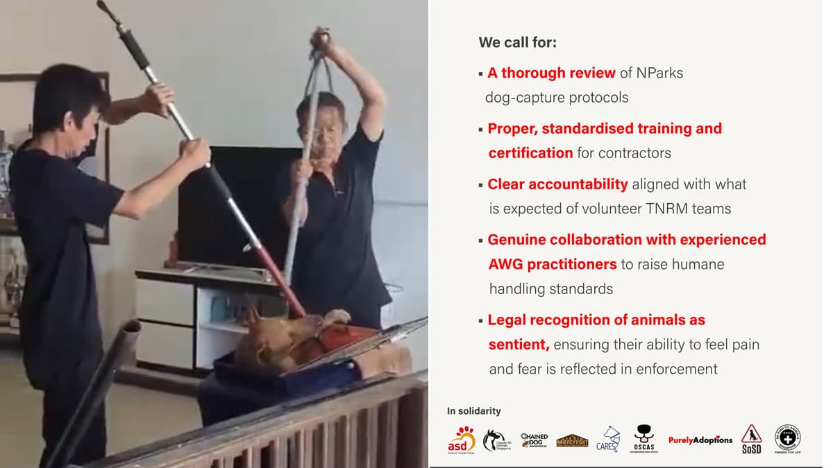 AWG statement on dogs.jpg