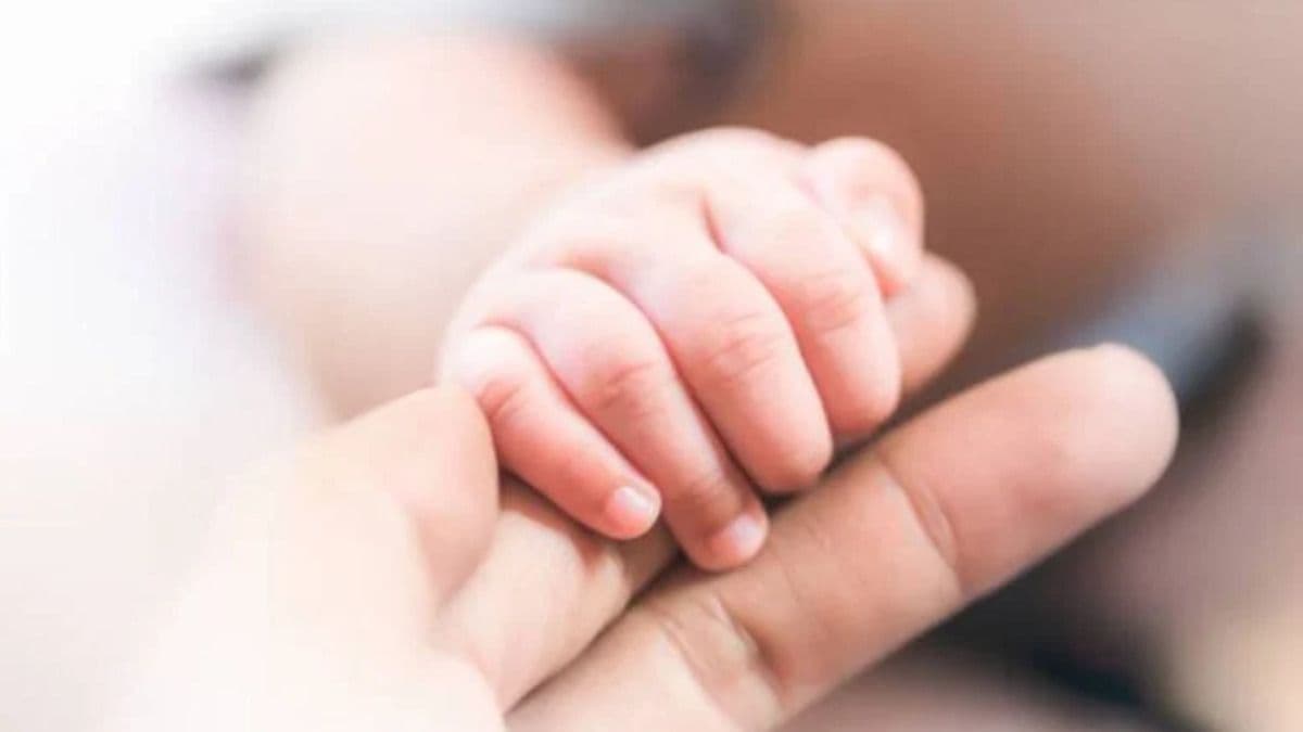 Baby's hands.jpg