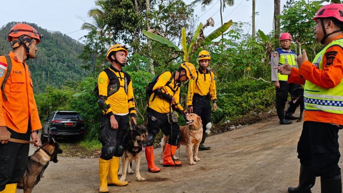 Banjarnegara landslide.jpg