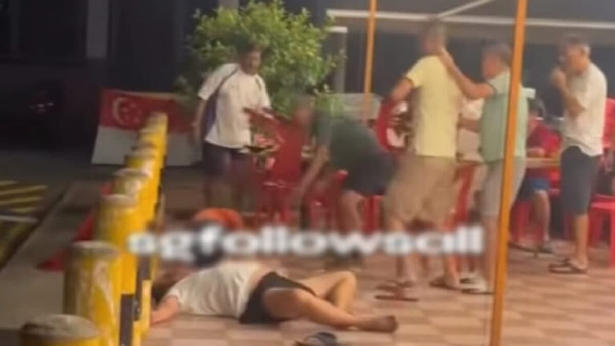 Brawl Bukit Panjang.jpg