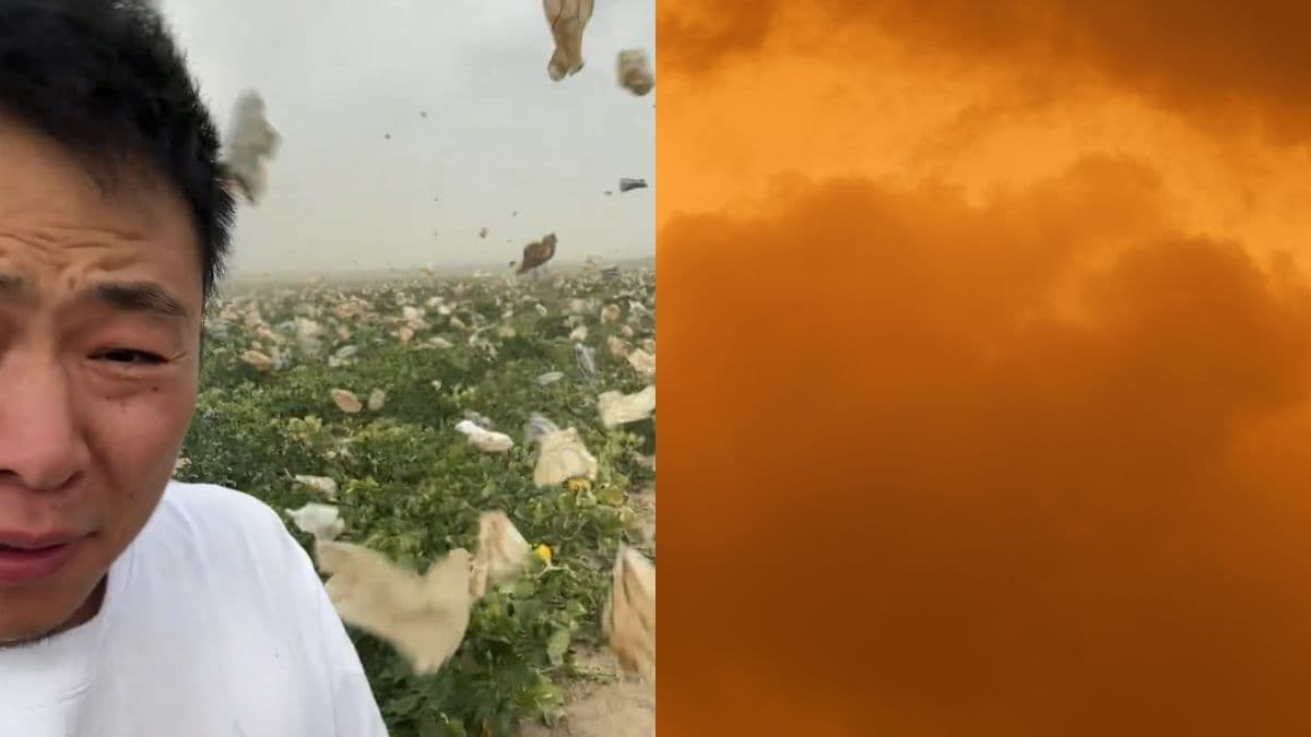 China, Xinjiang farmer forced to flee livestream as sandstorm blows hundreds of melon covers into the air.jpg