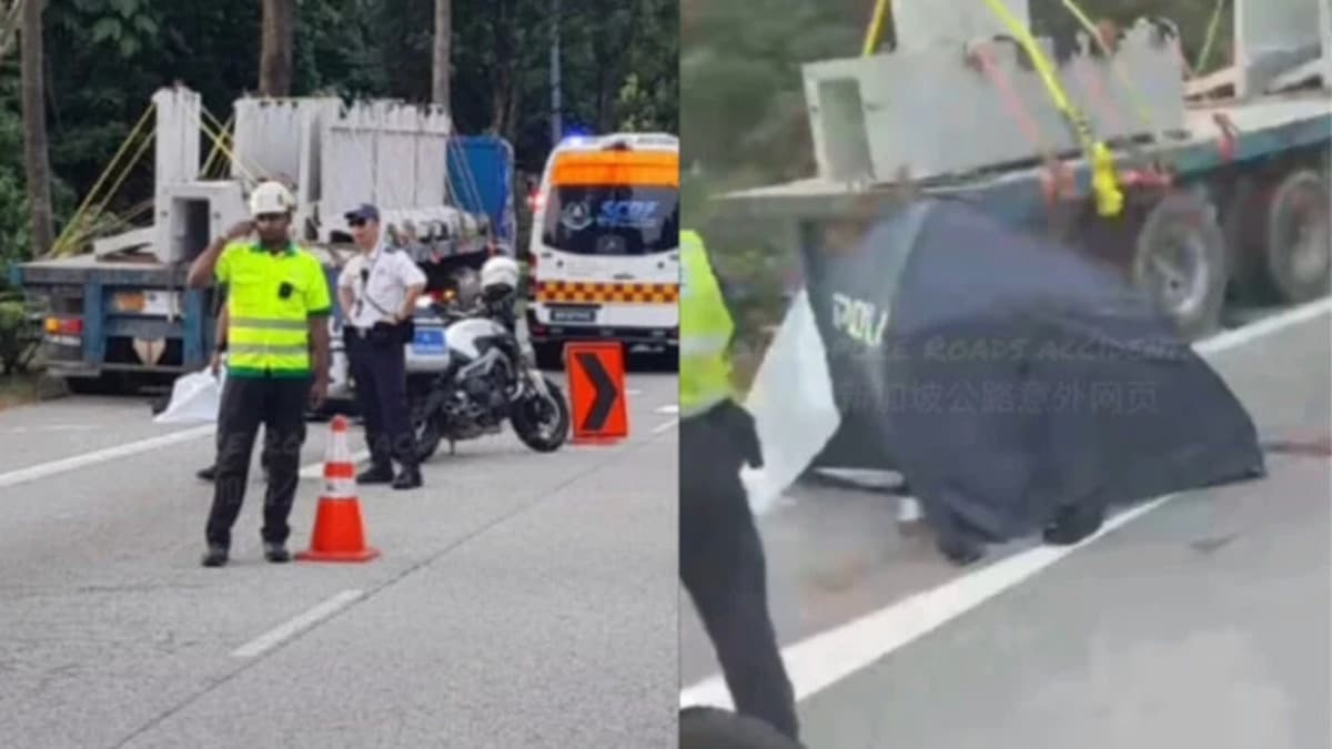 Collision Woodlands.jpg