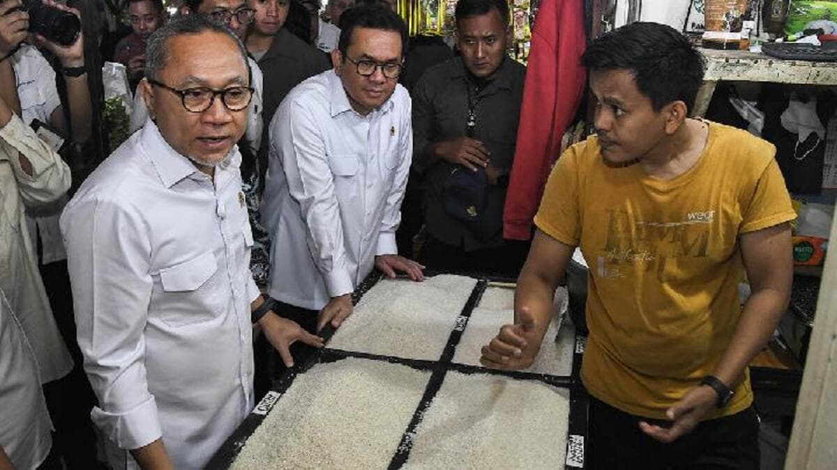 Coordinating Minister for Economic Affairs Zulkifli Hasan.jpg