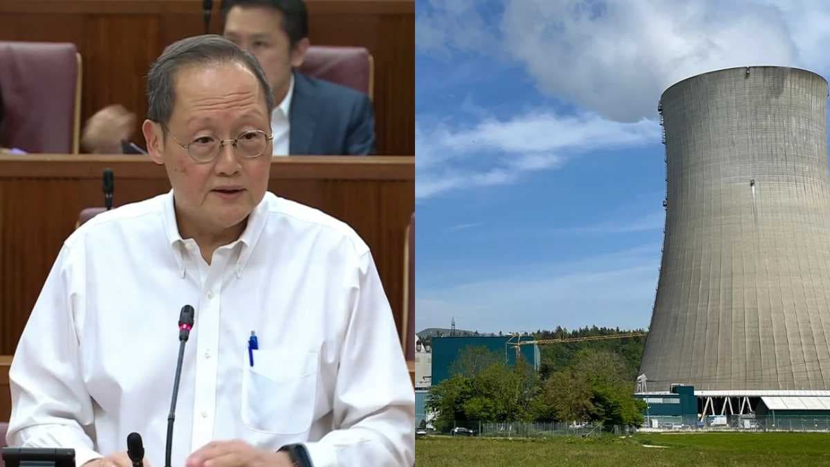 Dr Tan See Leng on nuclear-tile.jpg