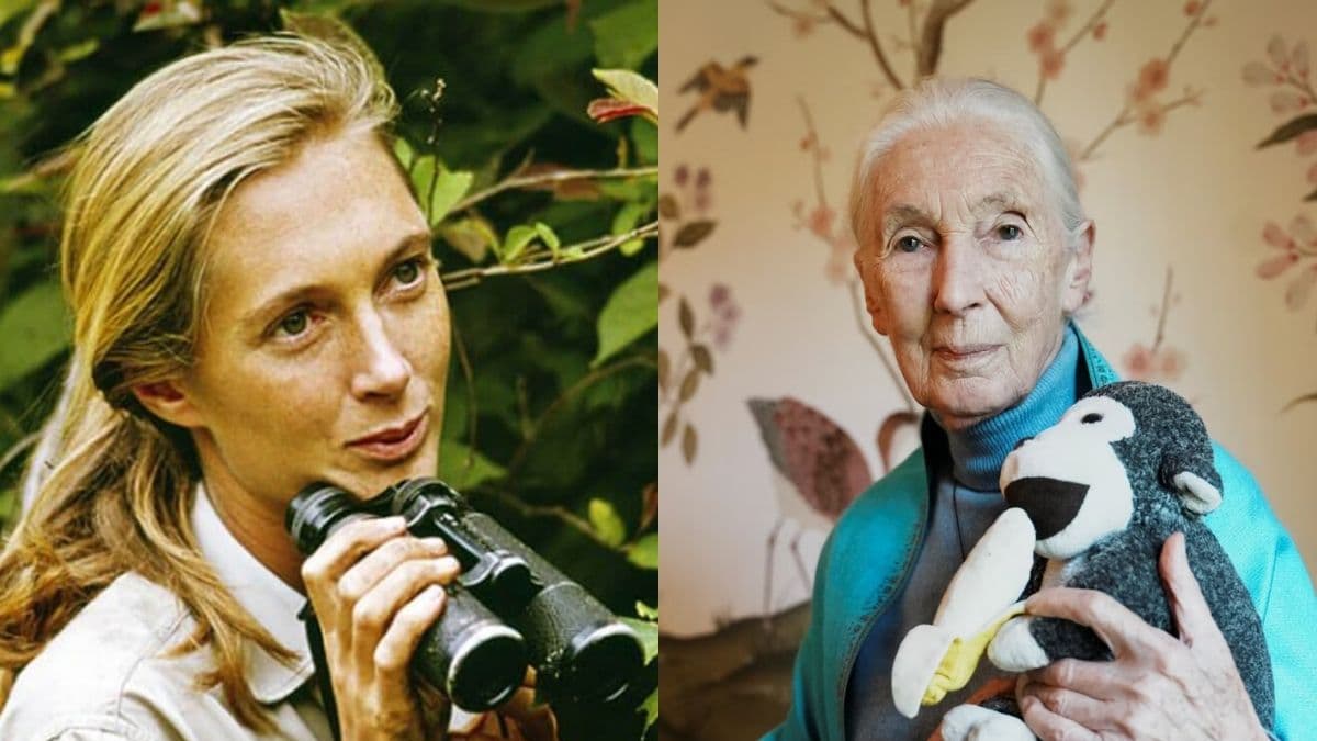 Dr Jane Goodall.jpg
