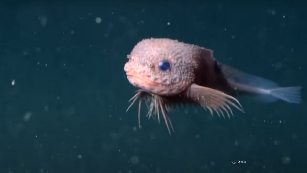 Feature Image (5).jpg