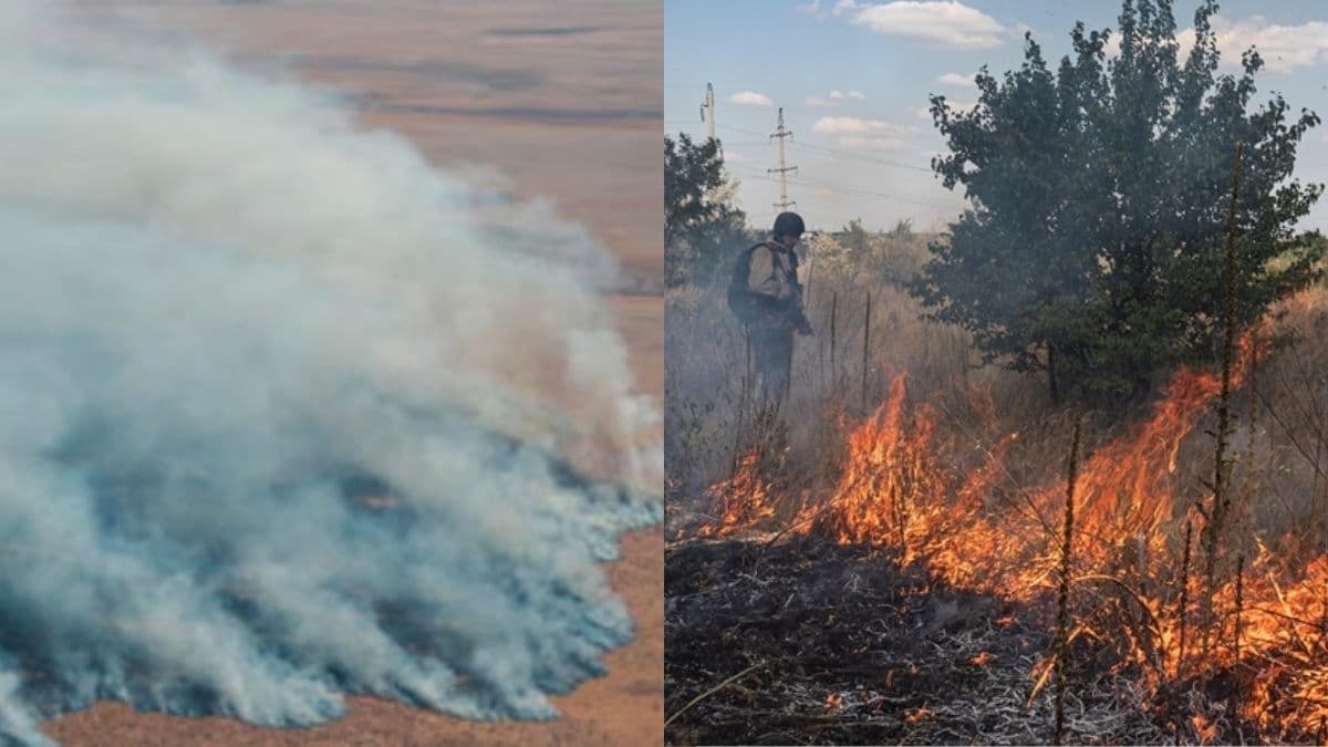 Namibia wildfire