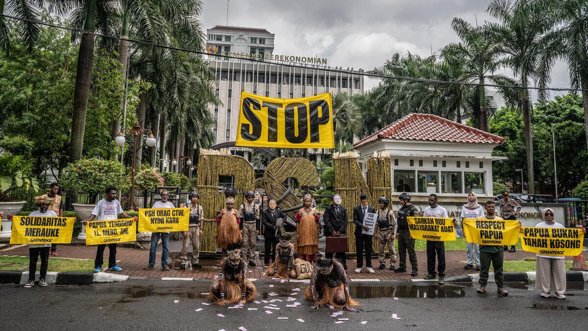 Greenpeace protest Merauke.jpg