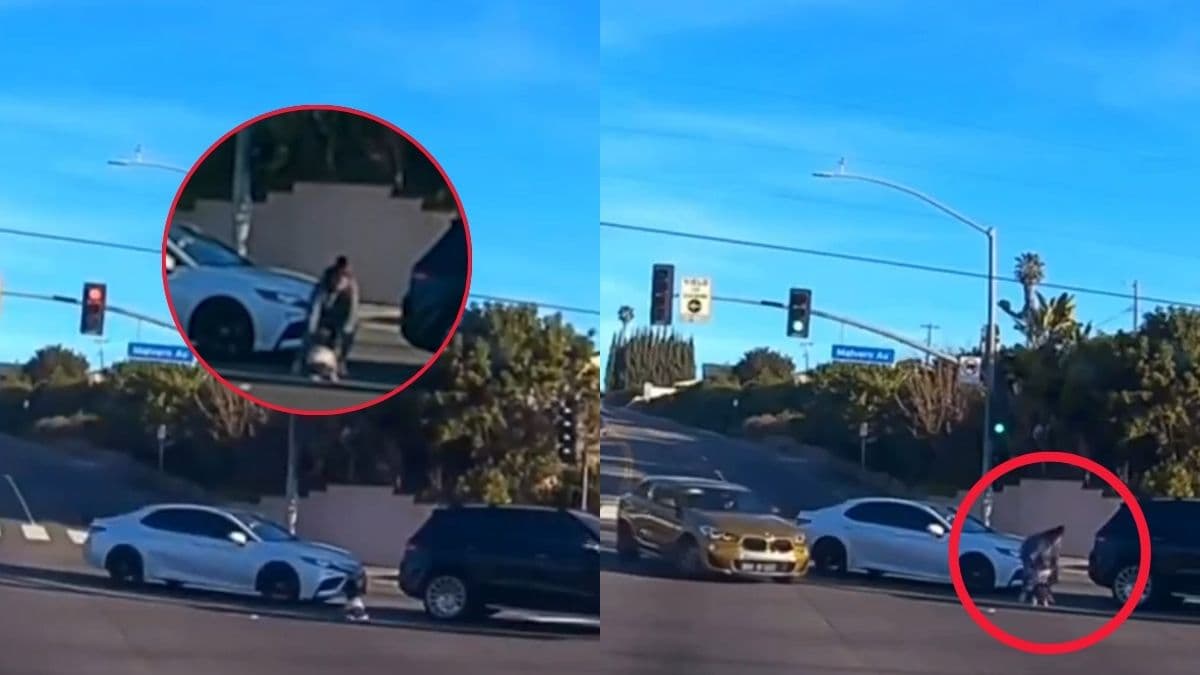 Mother detained in California after viral video shows child falling from vehicle.jpg