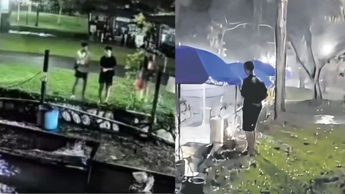 Police probe youths in Singapore who allegedly stole fish from closed Pasir Ris pond at 3am.jpg