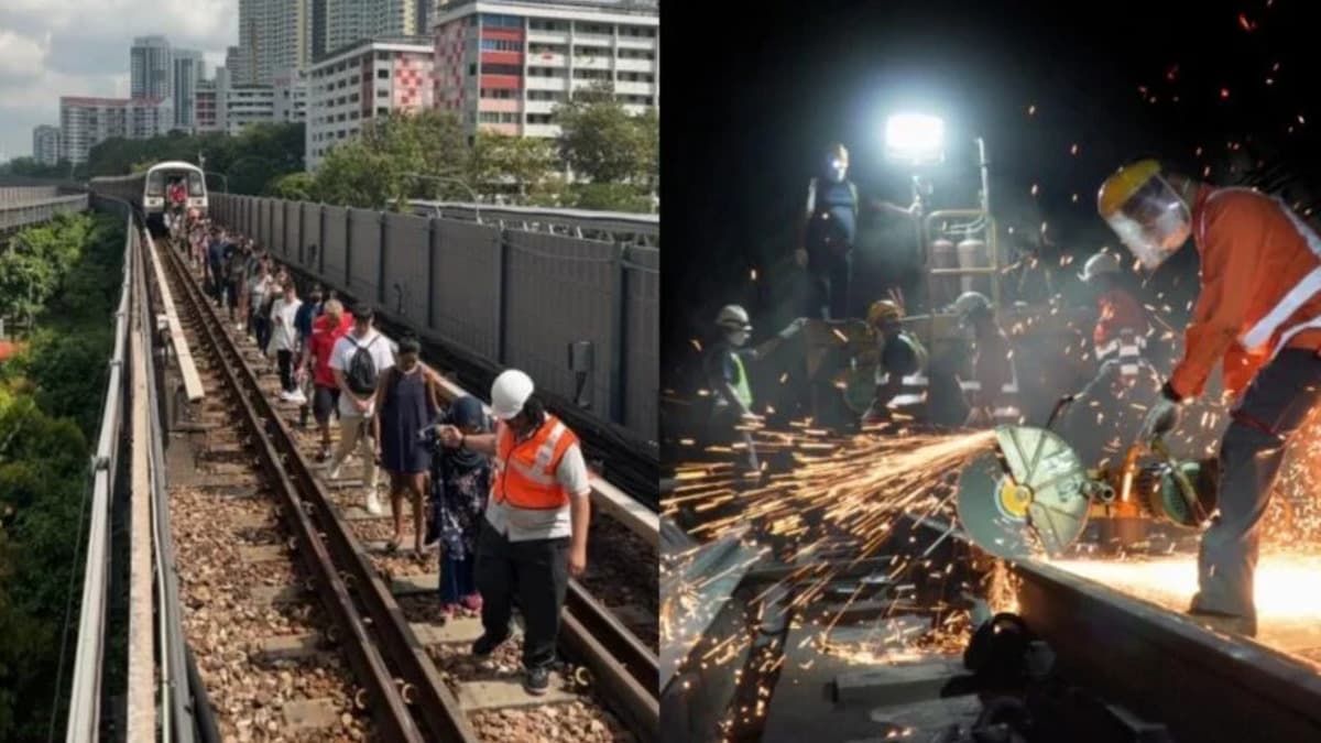 SMRT-EWL disruption.jpg