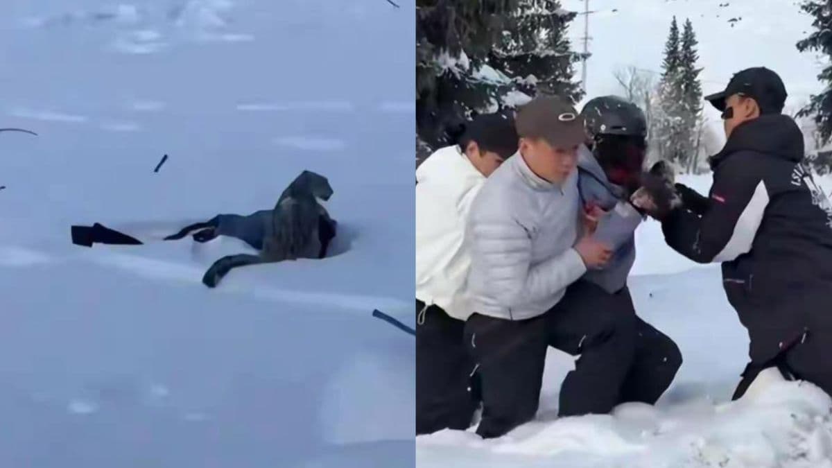 Skier injured after snow leopard attack in Xinjiang tourist area.jpg