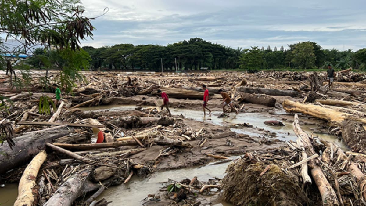 Sumtra flood logs.jpg