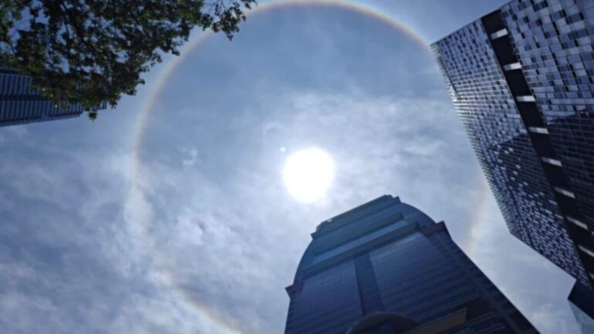 Sun Halo.jpg
