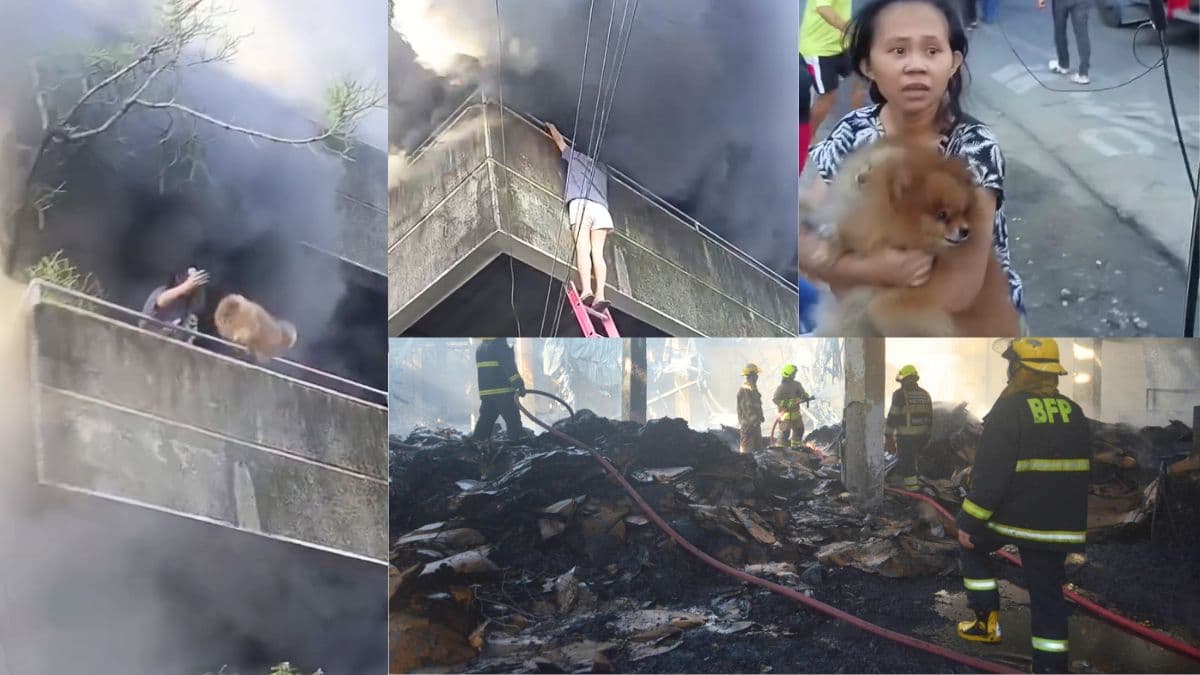 mandaue fire cebu.jpg