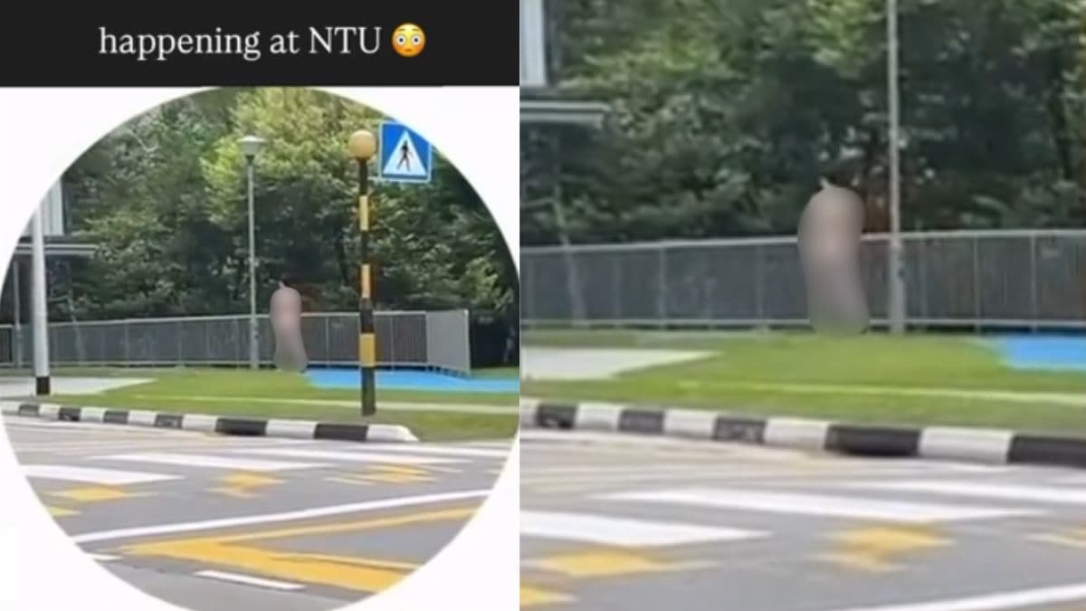 ntu student naked.jpg