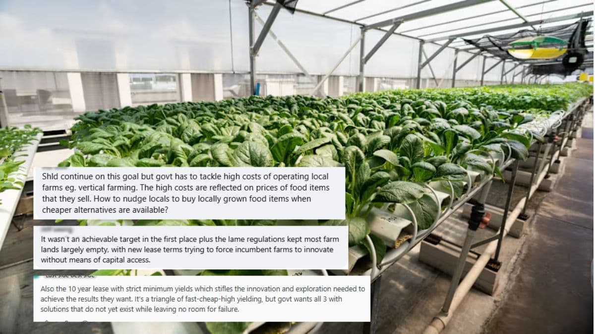 singapore '30 by 30'.jpg